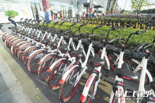 昨日下午，在開福區(qū)萬達(dá)廣場，成片的共享單車停放在廣場前坪。 長沙晚報記者 黃啟晴 攝