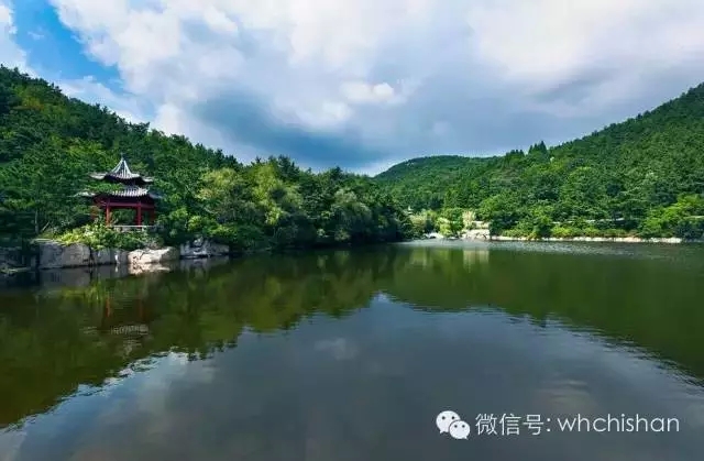 花期已過葉還未紅 去赤山賞云吧！