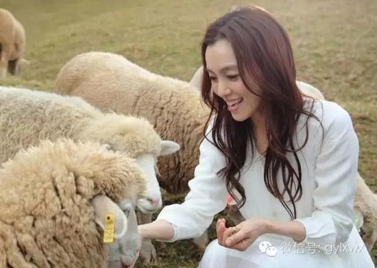 明星旅行糗事一籮筐 總有一個萌到你！