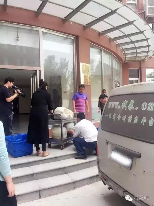 找菜網(wǎng)認(rèn)購(gòu)百萬(wàn)斤冬瓜，解農(nóng)戶(hù)燃眉之急