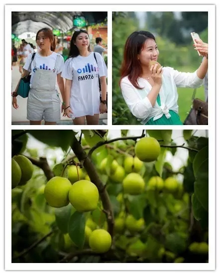 美女與香梨，你更愛(ài)哪一個(gè)？！