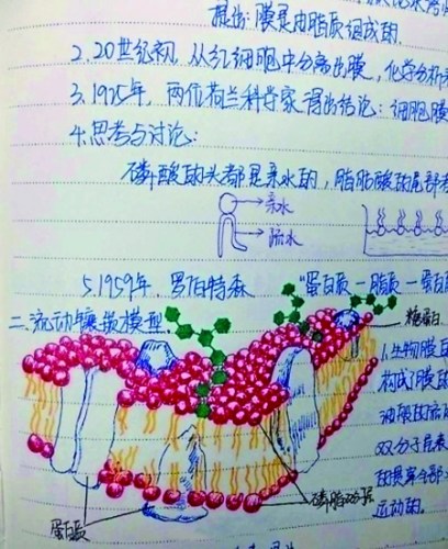 網(wǎng)絡(luò)熱傳的學(xué)霸手繪版生物筆記 網(wǎng)絡(luò)熱傳的學(xué)霸手繪版生物筆記