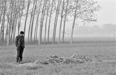 11月21日，高松中站在腦癱雙胞胎兒子墳前。