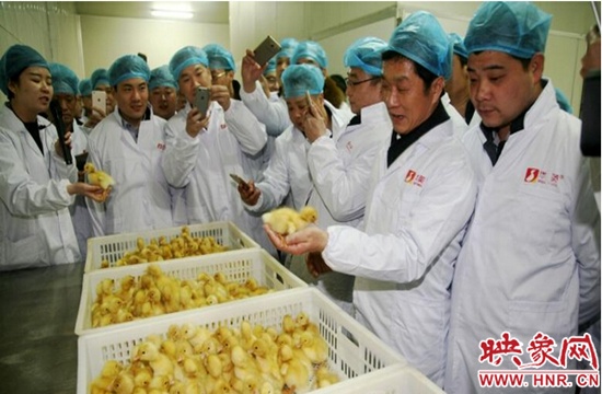 百名滬商看信陽(yáng)活動(dòng)圓滿成功 百名滬商看信陽(yáng)活動(dòng)圓滿成功