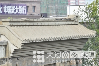 鄭州花園路“飛機樓”也要拆？去留引發(fā)關(guān)注