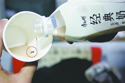 田先生喝的經(jīng)典奶茶中有一只蒼蠅。