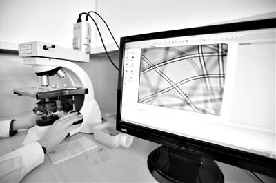 顯微鏡下，聚酯纖維很光亮，表面有斑點，粗細非常均勻。