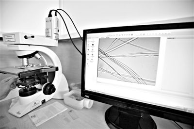 顯微鏡下，蠶絲呈現出表面有光澤，形狀不規(guī)則，粗細不均。