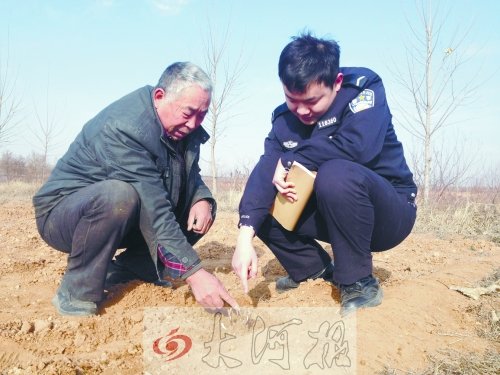 牡丹苗被盜之后，郭萬通又補種的牡丹苗已經(jīng)發(fā)芽