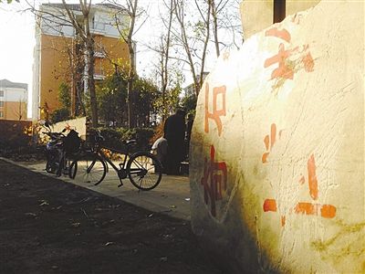 昨日，“上海奇石盆景博物館”原址上，已矗立起小區(qū)樓盤，而刻著博物館名的巨石，廢棄在一旁。本版圖片/新京報記者 張永生 攝