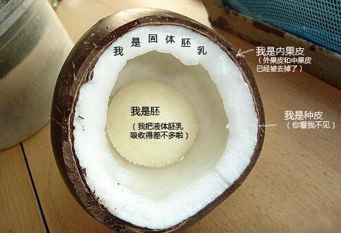 你在甜品店常吃的東西，到底都是啥？