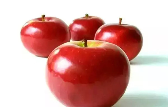 小心有毒!各種蔬果不能吃的部分