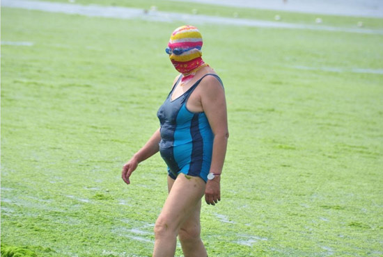 2013年7月3日，山東青島青島高溫來襲，“青島大媽”不懼滸苔，戴著“強盜面具”出現(xiàn)在海水浴場消暑降