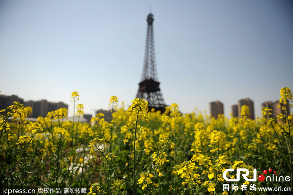 　2014年3月21日，杭州天都城，農(nóng)民在山寨埃菲爾鐵塔下耕作。圖片來源：東方IC