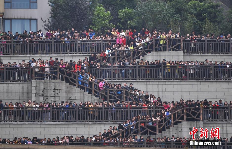 重慶上萬粉絲在南濱路等待《奔跑吧兄弟》節(jié)目的錄制。