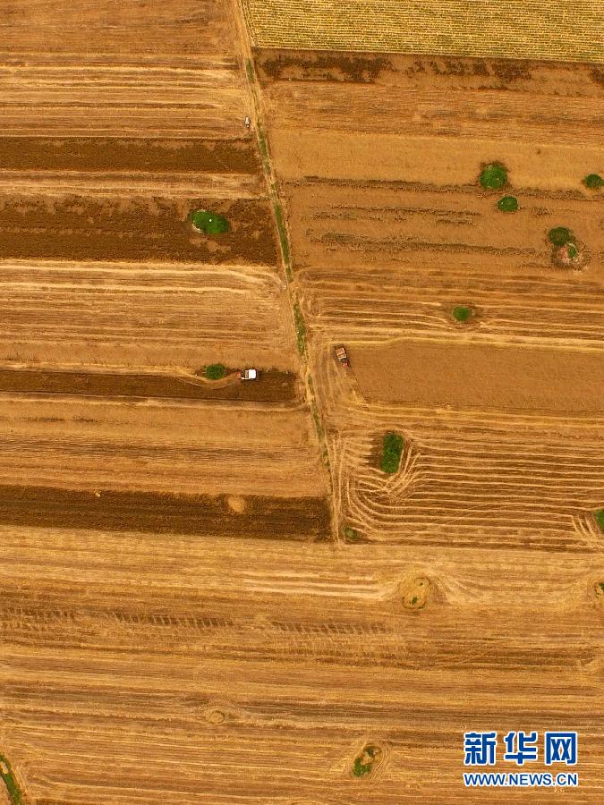 這是5月28日在河南省南陽市唐河縣甘河灣村航拍的麥?zhǔn)宅F(xiàn)場(chǎng)。
