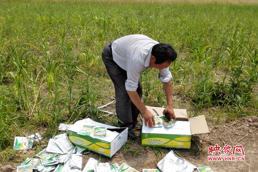 村民察看摧毀玉米的農(nóng)藥。