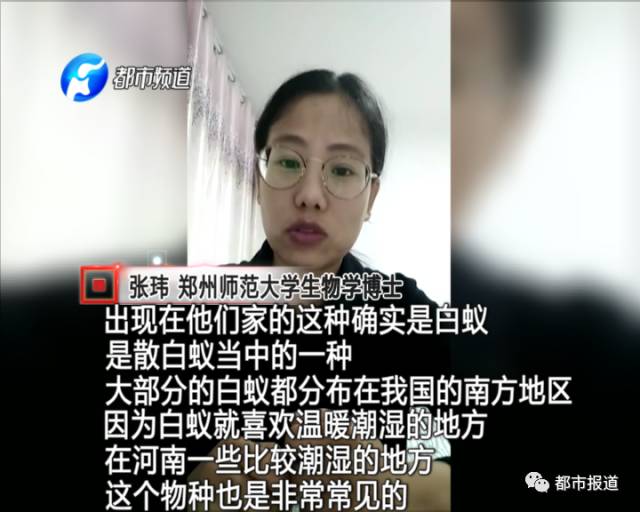 蟻?zhàn)宕筌娙肭?！十幾萬(wàn)裝修的新家被“吃掉”