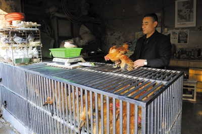 南京另一家農(nóng)貿(mào)市場內(nèi)待售的活雞。因南京出現(xiàn)H7N9禽流病例，買活雞的顧客減少。