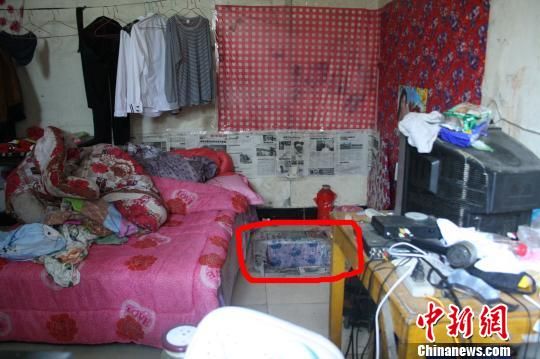 圖上紅圈內(nèi)為嫌犯所挖地窖入口。 吳佳蔚 攝