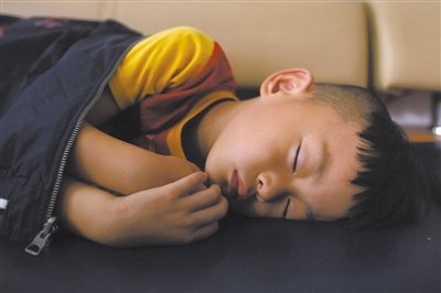 9月6日，等待錄制節(jié)目的多多躺在沙發(fā)上熟睡。新京報記者 侯少卿 攝