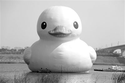 昨日，經(jīng)過連夜修正，大黃鴨的嘴部已恢復(fù)變寬，和在香港展出時(shí)看起來一樣。