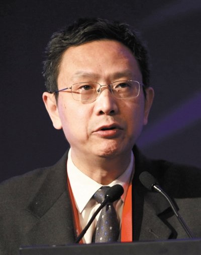 財(cái)政部財(cái)政科學(xué)研究所所長賈康。圖/CFP