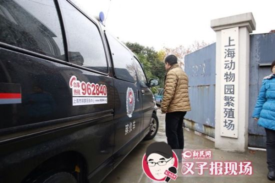 殯葬車到達(dá)現(xiàn)場(chǎng)。新民網(wǎng) 記者 蕭君瑋 攝