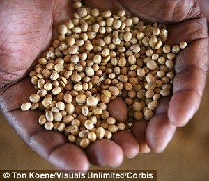 超強厄爾尼諾將引發(fā)全球極端天氣，中國北方或極端高溫-