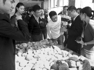 前段時間，夫子廟古玩城舉行的一場賭石活動，吸引了不少人參與