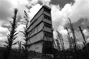 這幢5層的“片片樓”周圍已是一片拆遷后的廢墟，左邊的一堵墻上，不少鋼筋裸露在外面 圖片來源：新華網(wǎng)