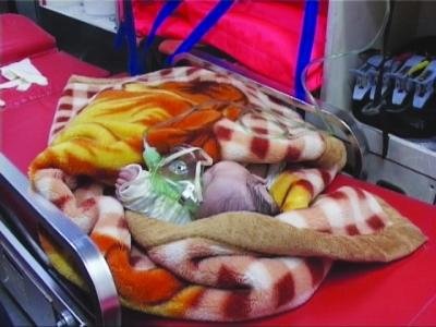 女嬰被遺棄路旁險(xiǎn)遭車輪碾壓 警方已送福利院 女嬰被遺棄路旁險(xiǎn)遭車輪碾壓 警方已送福利院