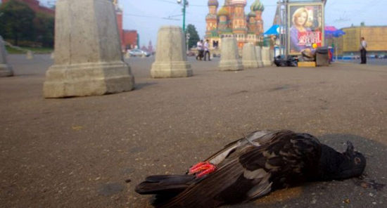 外媒稱(chēng)莫斯科現(xiàn)