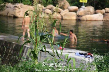 網(wǎng)友曝光的現(xiàn)場(chǎng)圖片。（圖片來(lái)自網(wǎng)絡(luò)）