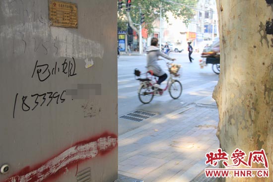 鄭州市區(qū)街頭驚現“包小姐”小廣告 想要服務需先打錢