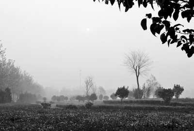 3月26日上午8點,鄭大新校區(qū),濃濃的霧霾埋沒了大好春景。