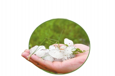 冰雹化了一些,還有這么大。