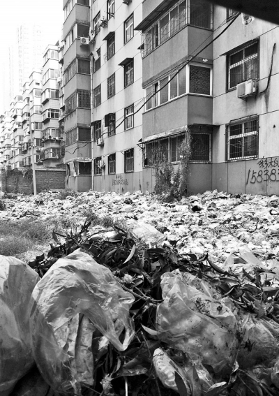 透過擋板縫向內(nèi)看，30多米垃圾已經(jīng)將居民樓包圍。