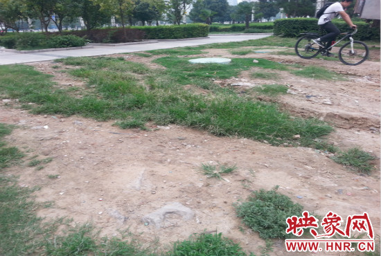 公園內(nèi)大片草坪遭到破壞。