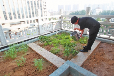 鄭州某酒店在樓頂打造的菜園子，服務員正在澆水。