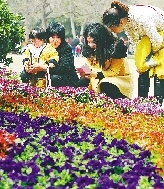 近距離才能拍得更真切。