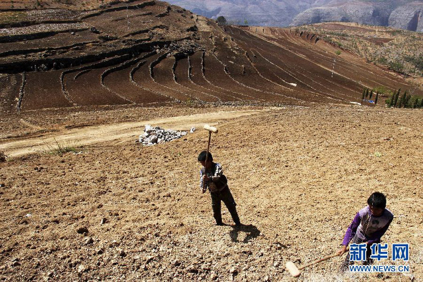 3月16日，在貴州省畢節(jié)市威寧縣斗古鄉(xiāng)中關村，兩個孩子幫助家人在干旱的土地上勞動。