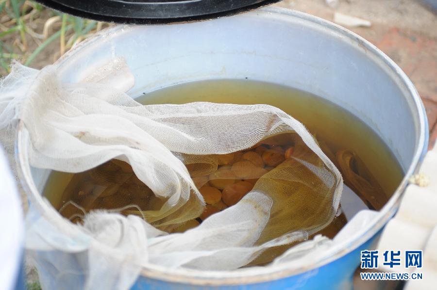 地下水成“綠茶”　污染二十多年該誰(shuí)治？