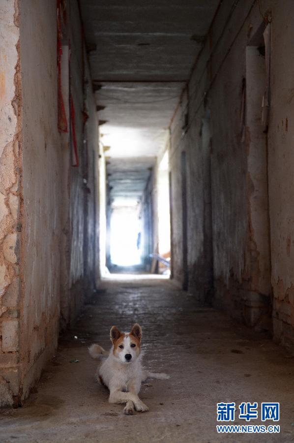 農(nóng)場棚戶區(qū)的最后留守家庭：留下的是回憶，迎來的是幸福