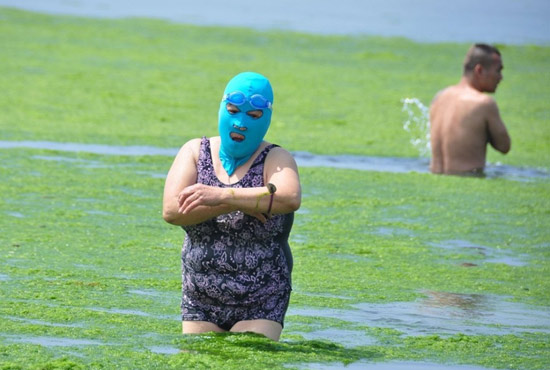 2013年7月3日，山東青島青島高溫來襲，“青島大媽”不懼滸苔，戴著“強盜面具”出現(xiàn)在海水浴場消暑降