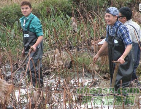 爸爸去哪兒？親密接觸荷花仙子