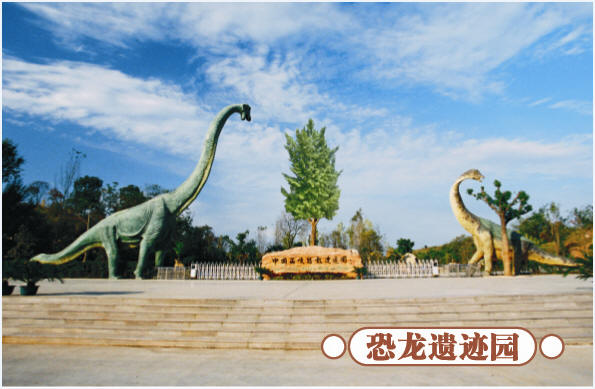 圣誕去哪兒？省內(nèi)歡樂(lè)地推薦