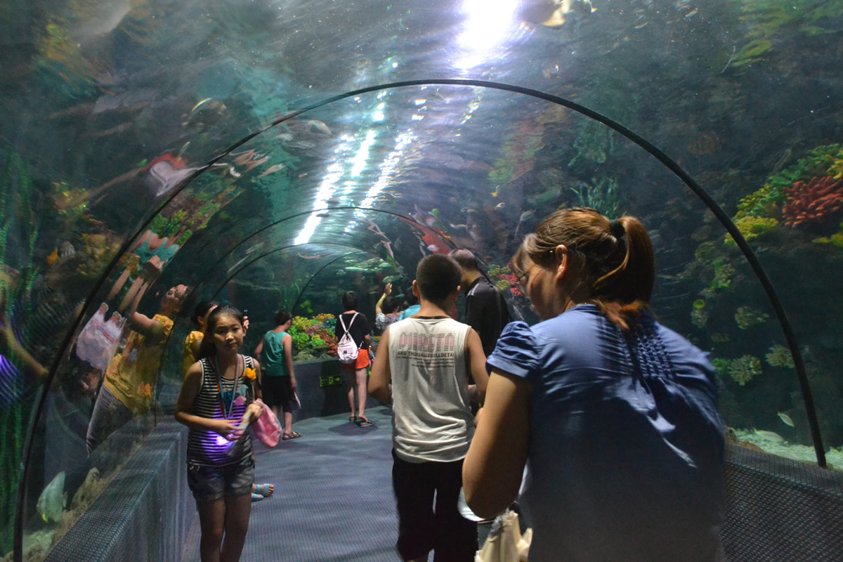 春節(jié)去哪兒？出游地圖告訴您！