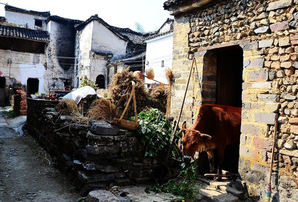 10大古村落，見證鶴壁舊時光