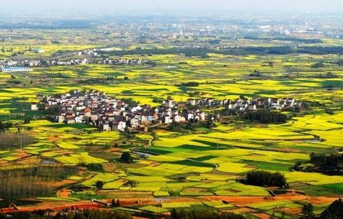 盤點(diǎn)全國(guó)13處絕美的油菜花觀賞地